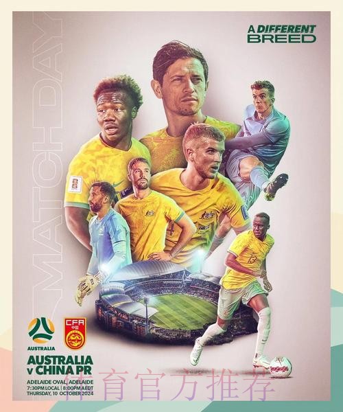 高清世界杯预选赛直播在线观看